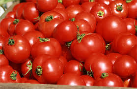 Tomates