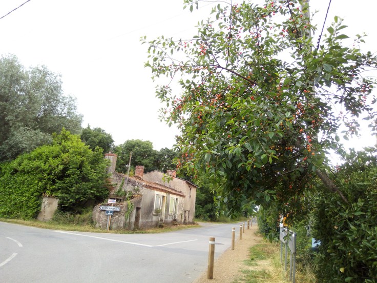 8_IMG_20180528_192014 (2)