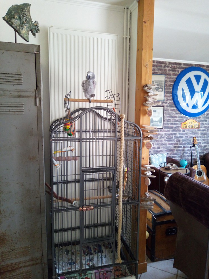 IMG_20180602_123807 (2)